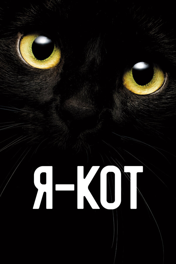 Я — кот - постер